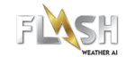 Flash Website Logo